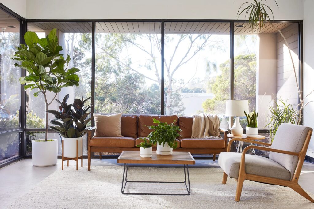 Mid Century Living Room