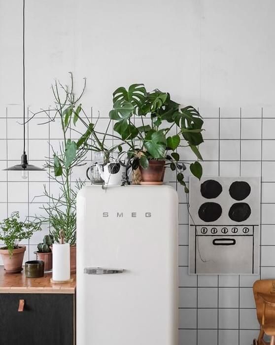 top of the fridge decor ideas