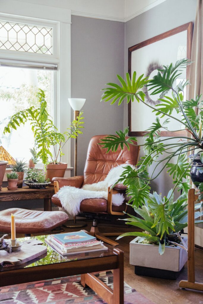 The Best Indoor Plants for Every Room in Your Home